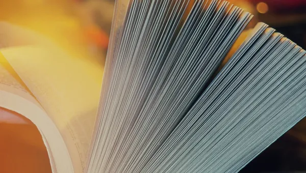 Stop Meditation Apps: Why Reading Is the Ultimate Mindfulness Tool for Professionals