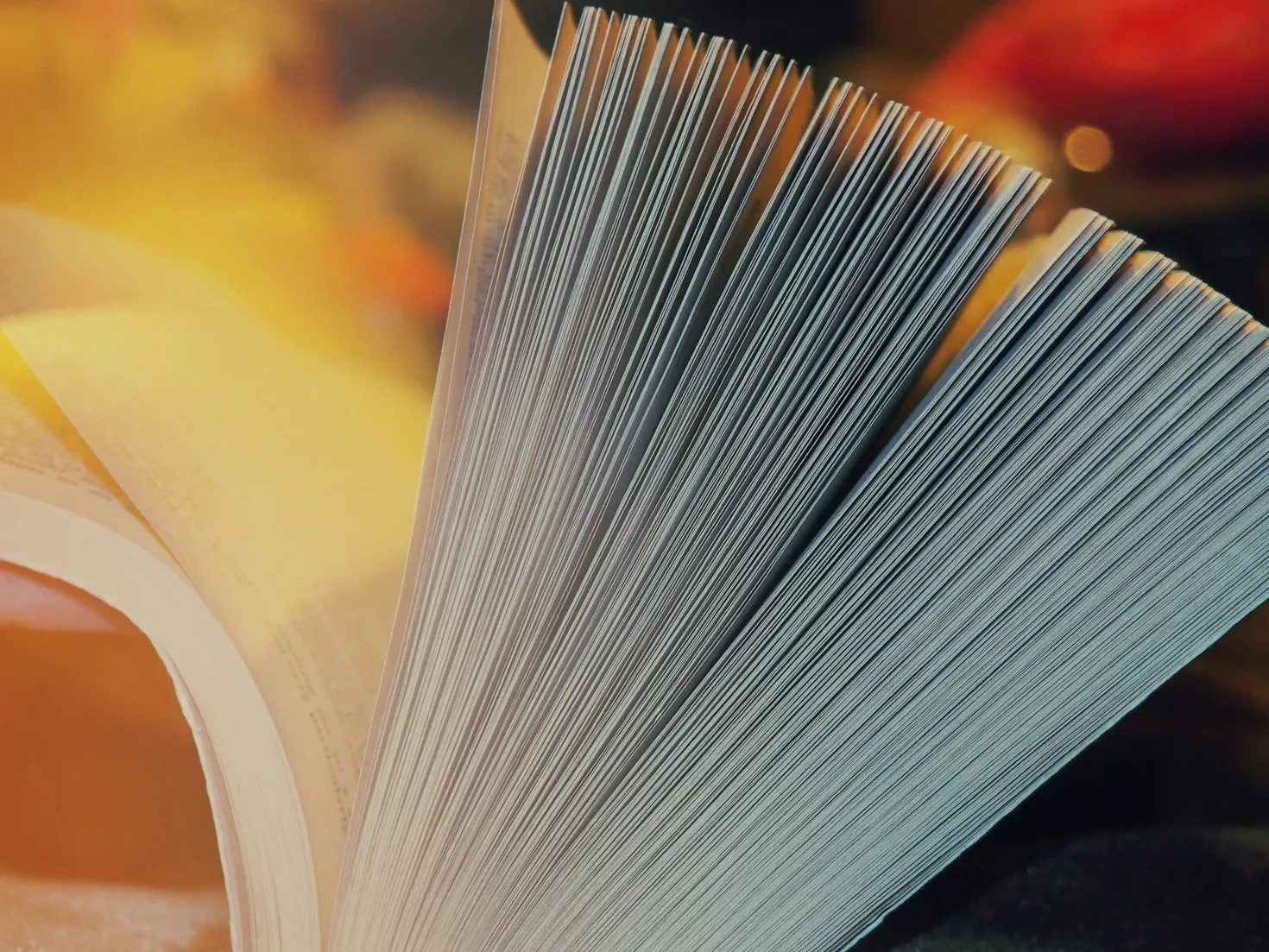 Stop Meditation Apps: Why Reading Is the Ultimate Mindfulness Tool for Professionals