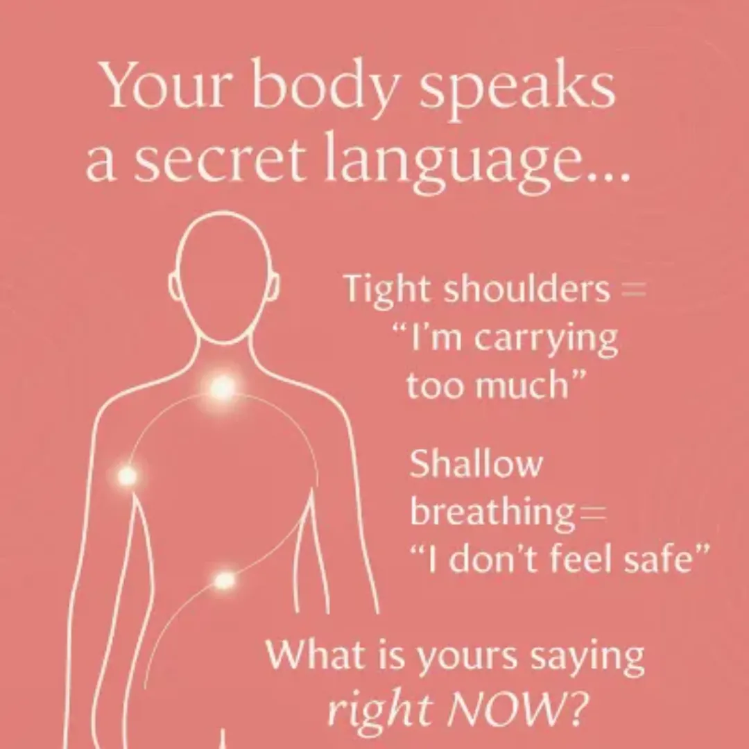 Body Scan Meditation for Anxiety: The 5-Minute Practice That Transforms Stress